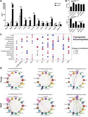 Integrated Single-Cell Bioinformatics Analysis Reveals Intrinsic and Extrinsic Biological Characteristics of Hematopoietic Stem Cell Aging